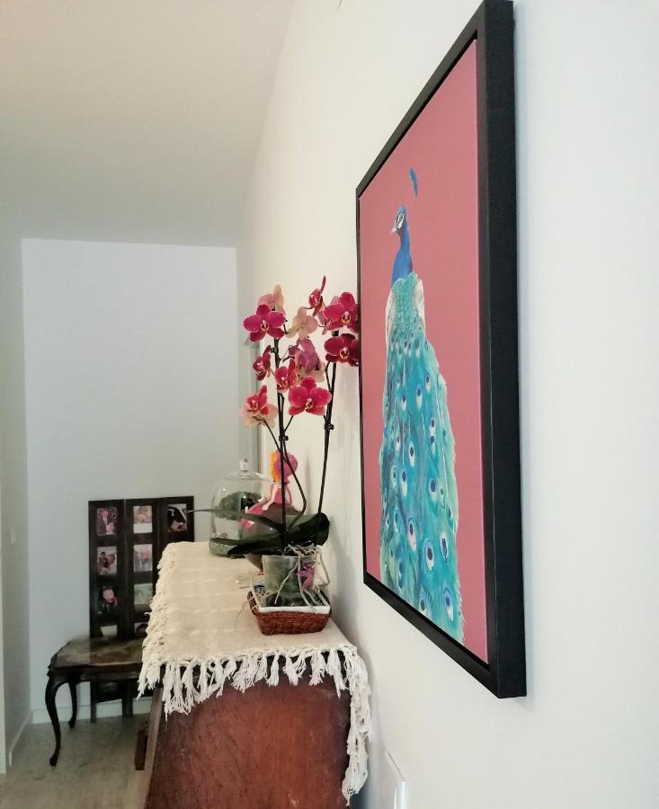 Lilac Homestay Setubal Exterior photo